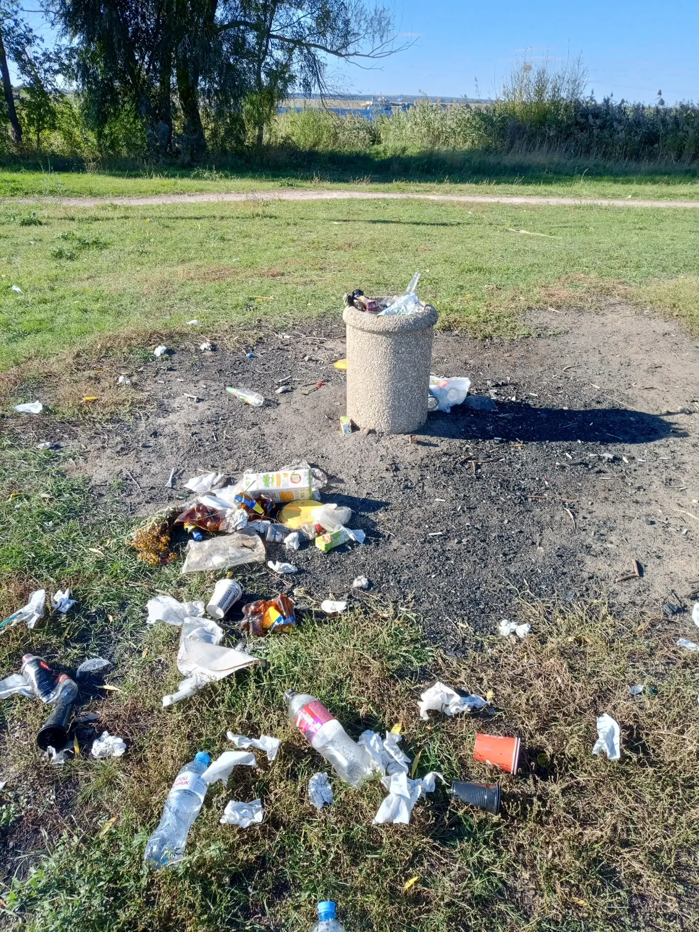 Гуляла сегодня в летнем парке. Это что за свинство?!🤬🤬🤬