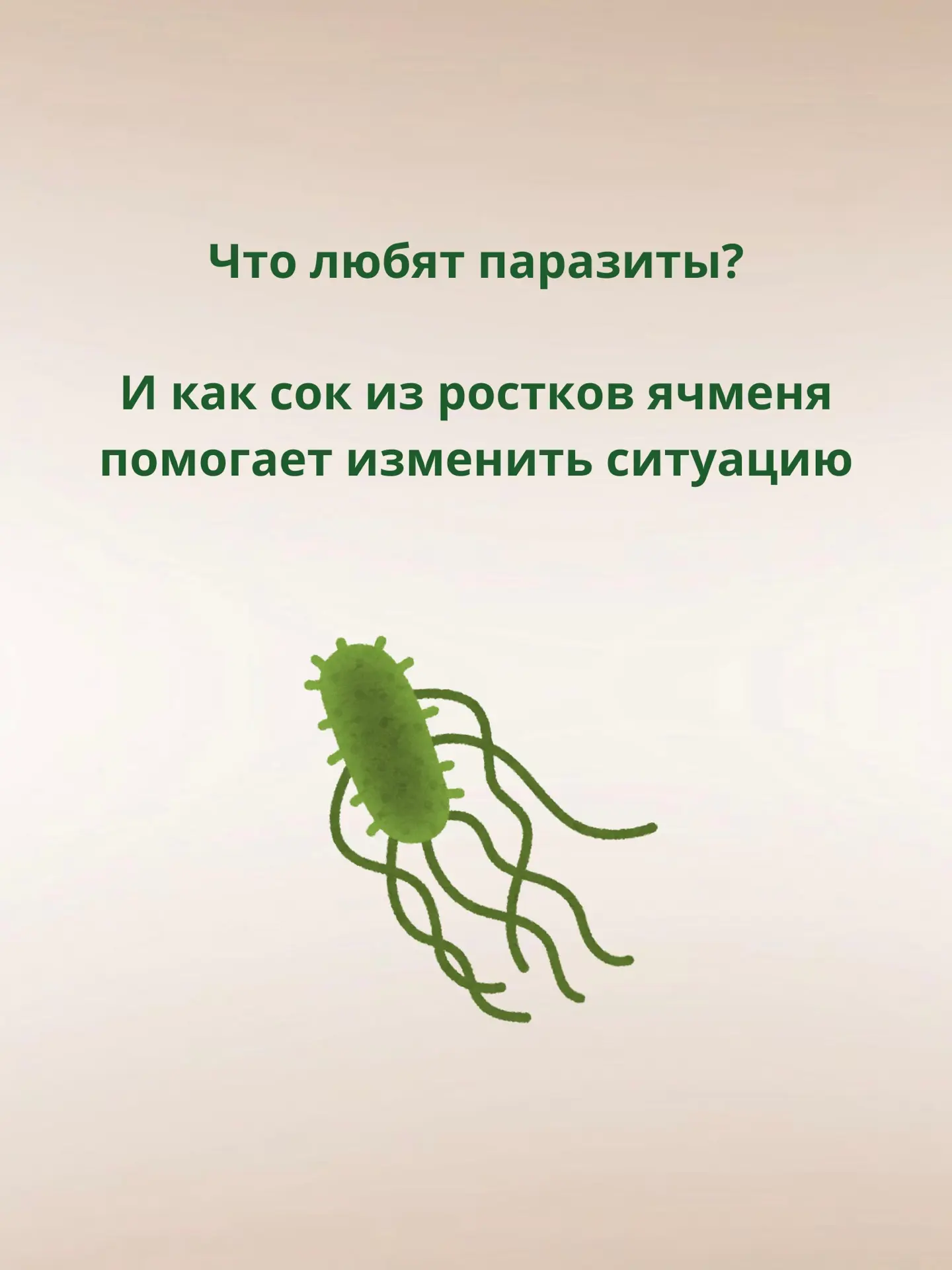 Когда говорят о паразитах, большинство сразу начинает искать «волшебную таблетку».

Но мало кто заду