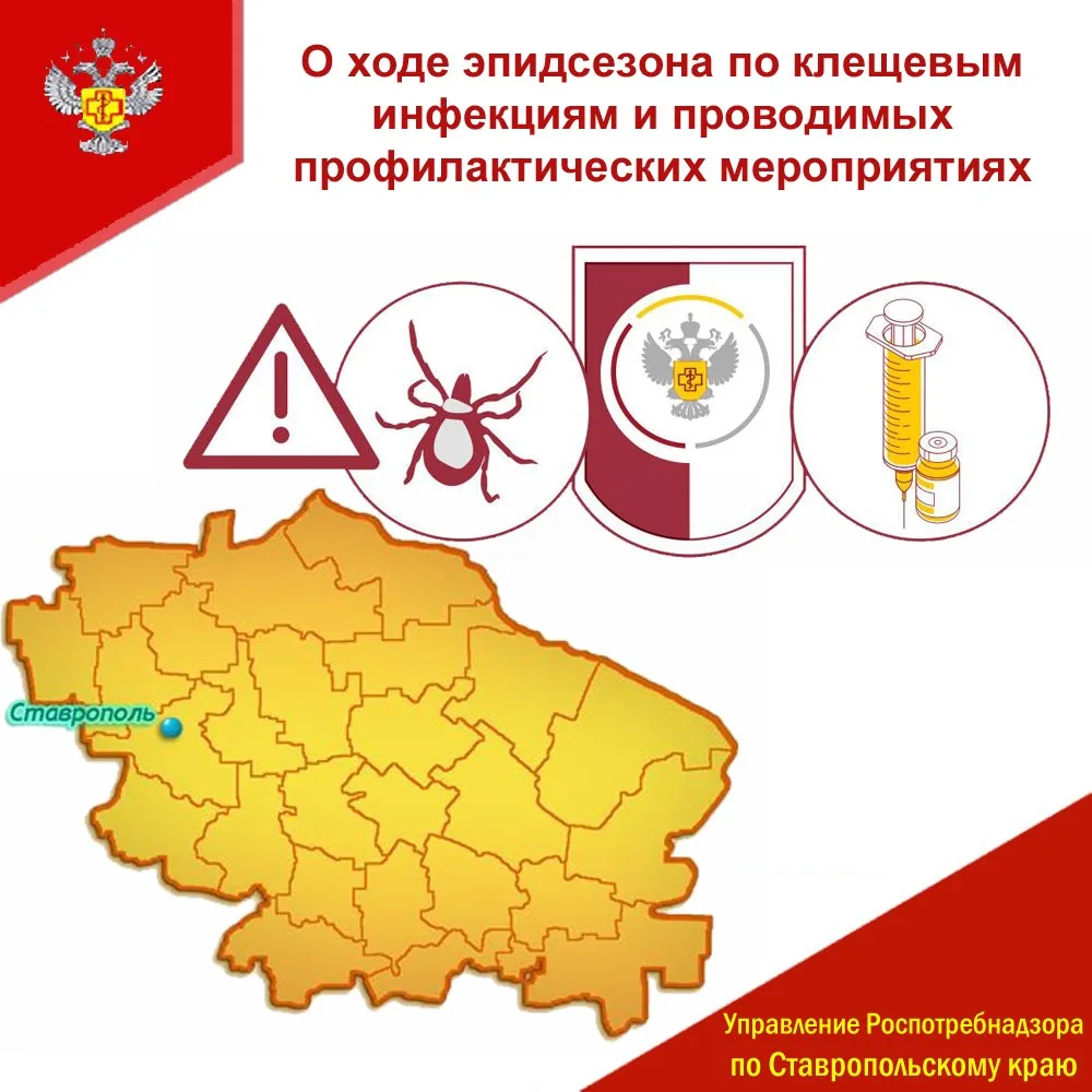 За прошедшую 2️⃣4️⃣ неделю с укусами клещей в медицинские организации края обратилось 3️⃣3️⃣6️⃣ (+44
