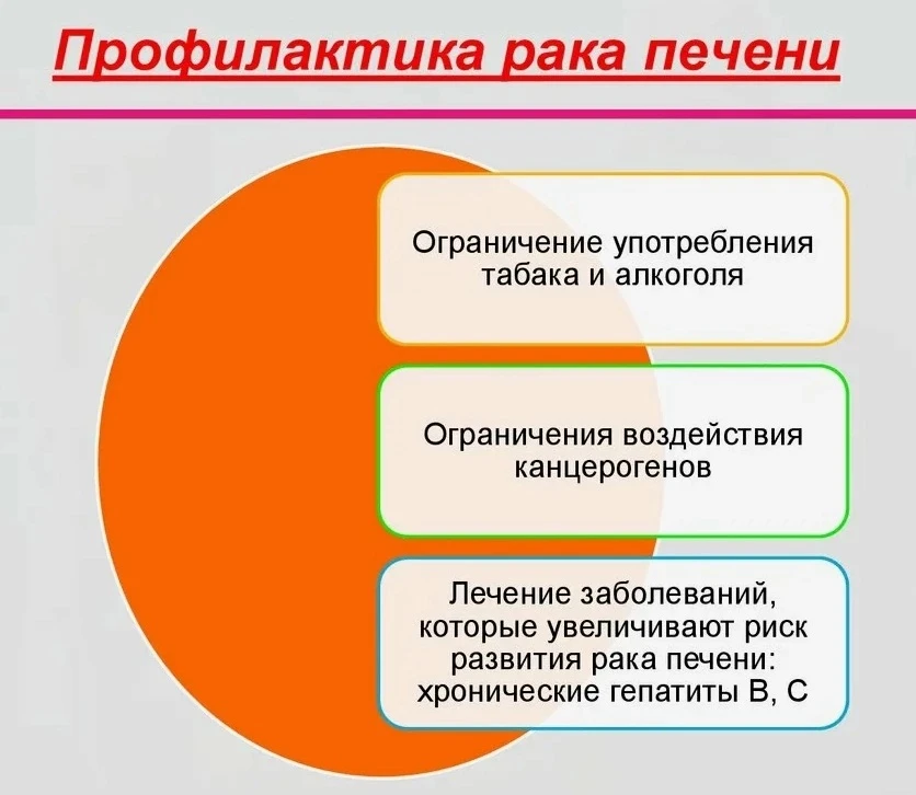 Более 50% случаев рака печени связаны с хронической инфекцией — вирусами гепатита В и С!!

Вирус геп