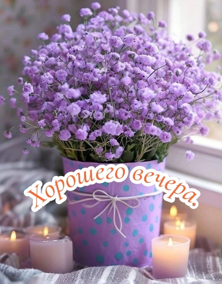 #ХорошегоВечера

Красивые открытки❤️