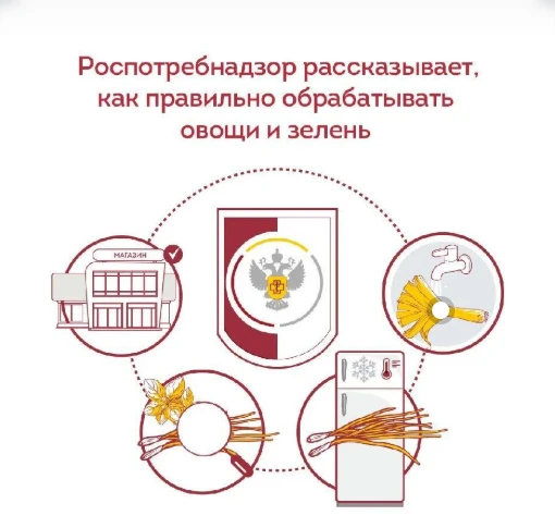 🥬 Качественная обработка овощей и зелени – это первый и самый надёжный барьер против о...