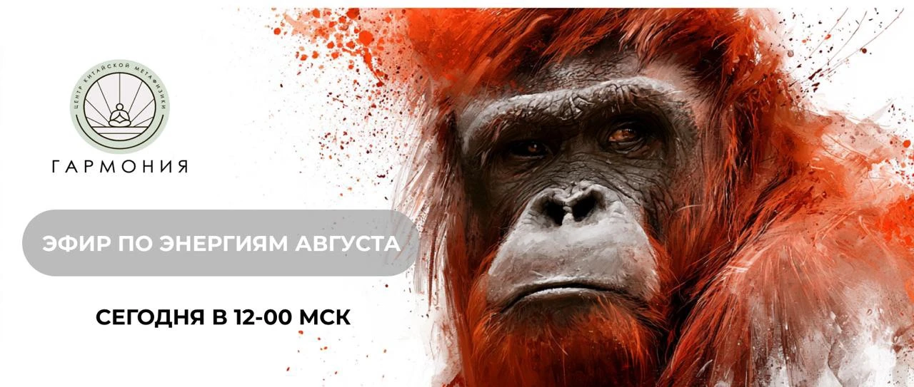 Сегодня в 12:00 — эфир «Энергии августа» 🔥⁣⁣⠀