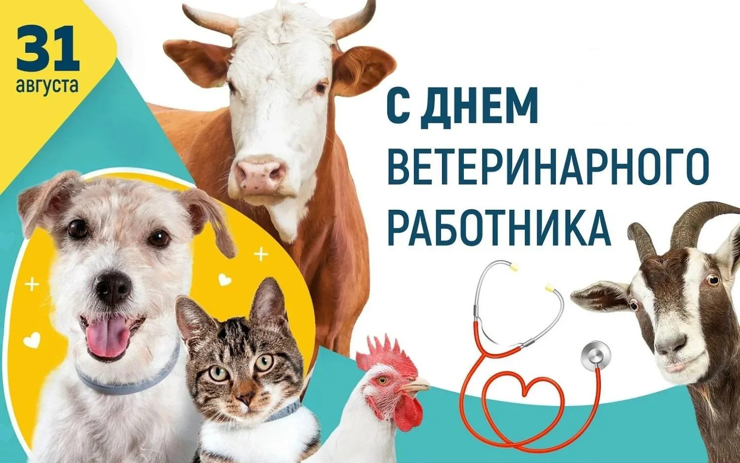 Уважаемые специалисты ветеринарной службы!