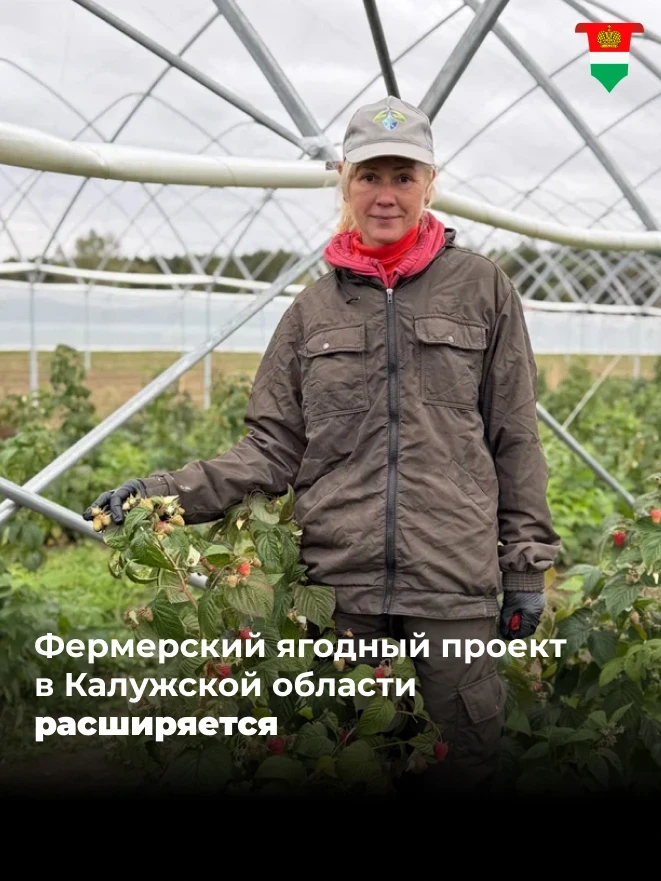 🌱 Грант помог расширить ягодный питомник в Куйбышевском районе