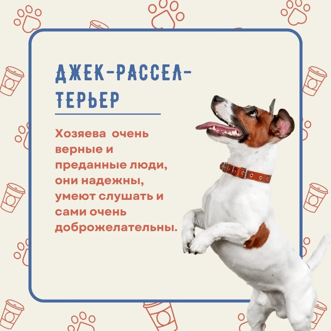2 июля - Международный день собак! 

🐶 Исследователи собаководства утверждают, что выбор породы соб