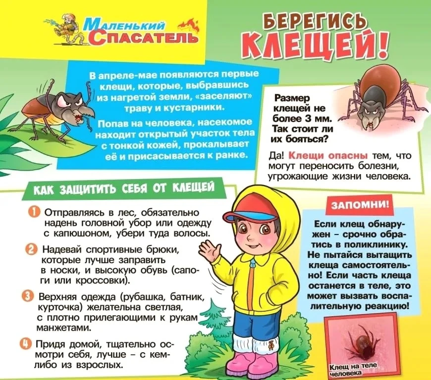 ‼️Осторожно, клещи!‼️