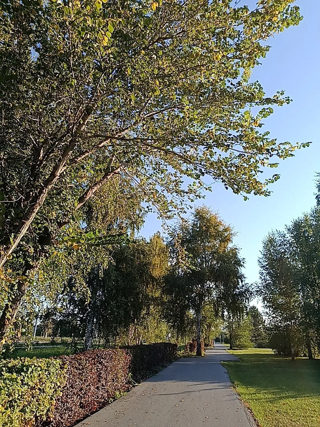 Доброе утро, дорогие подписчики!