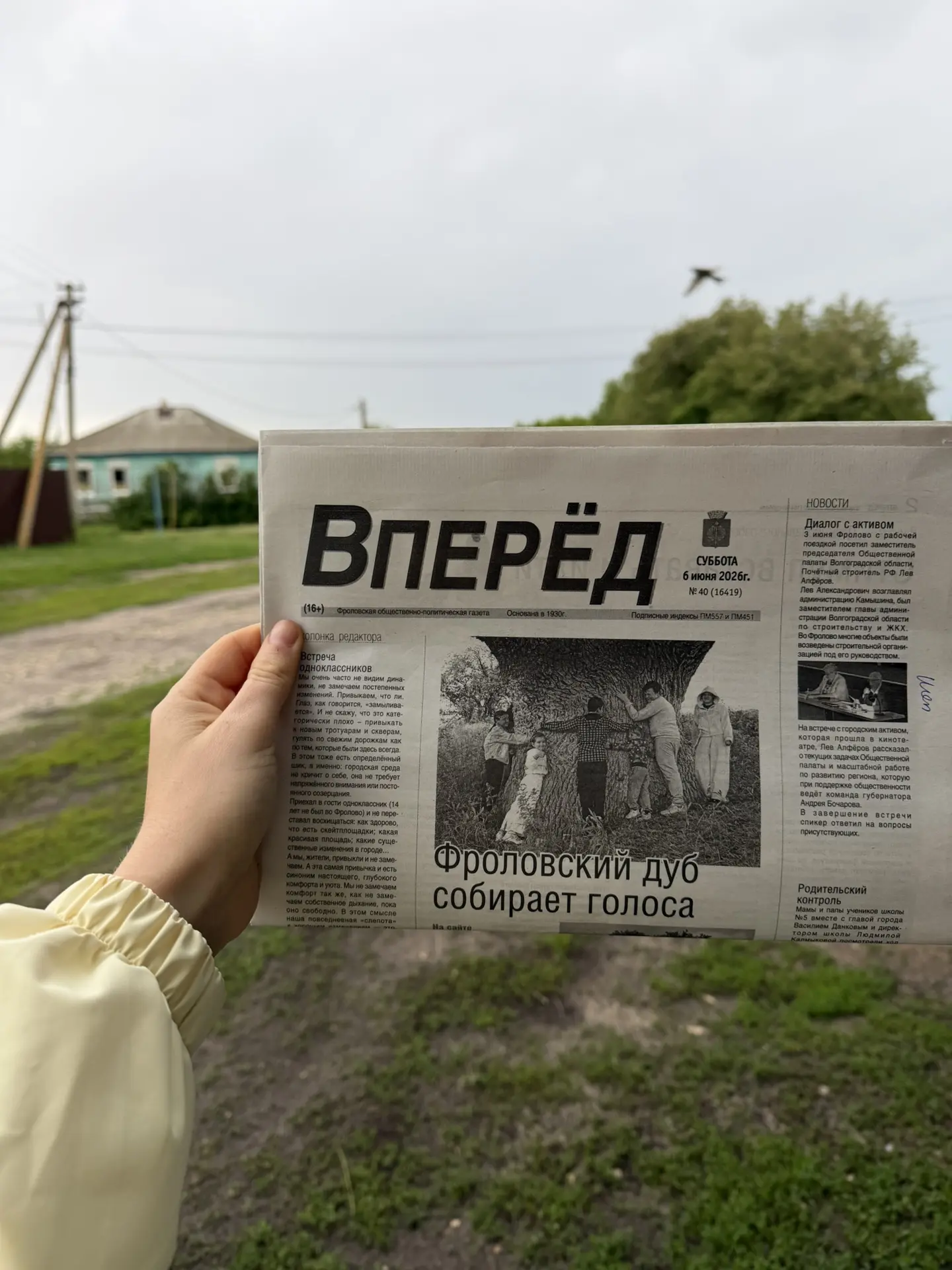 Фото для души 🐮