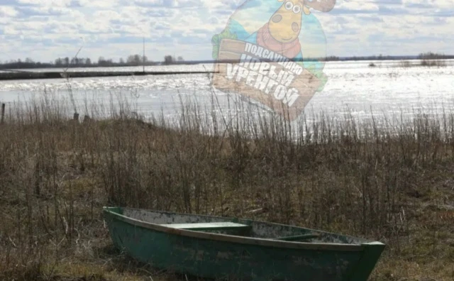 На Ямале ищут тела жителей, упавших с лодки

В Надымском районе ищут тела упавших с лодки жителей. Ч