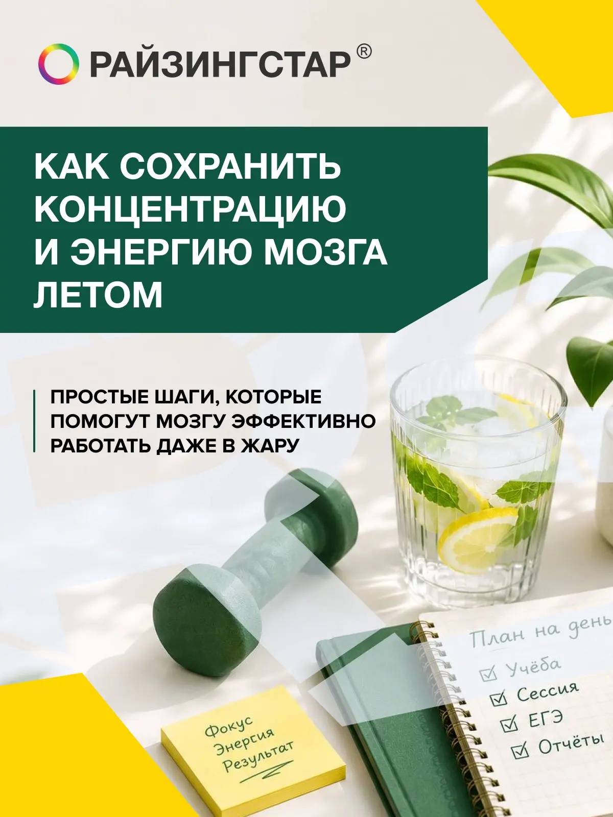 Как сохранить концентрацию и энергию мозга летом

Продолжаем разговор об эффективной работе летом. В
