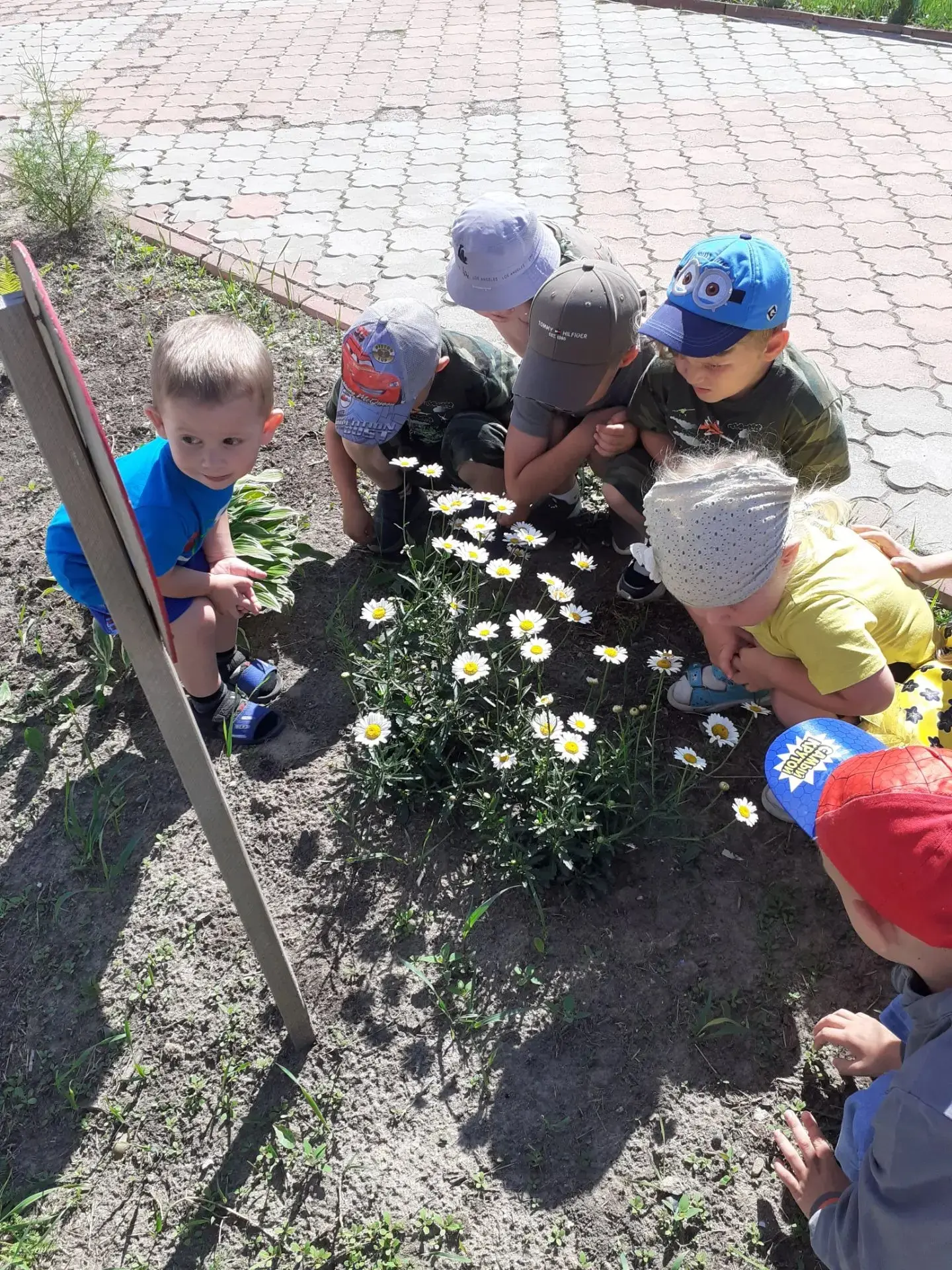 День семьи, любви и верности🌸                         Каждый год 8 июля в России отмечается всеми л