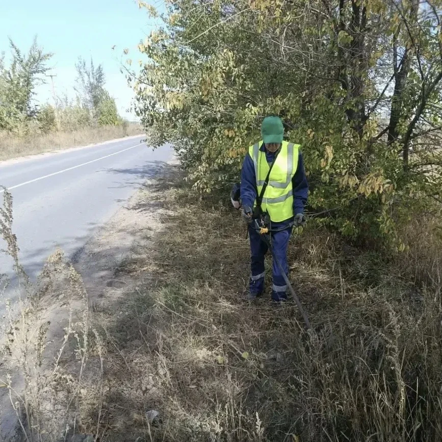🌺 В Гагаринском районе продолжаются плановые работы по благоустройству