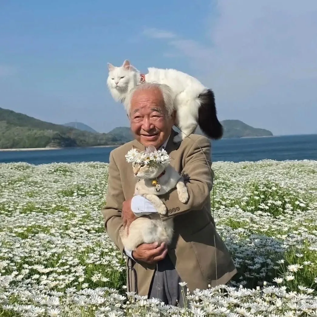 Дедуля: сейчас сделаем красивую фотографию среди цветочков 🌻🌸 🥰Коты через три секунд...