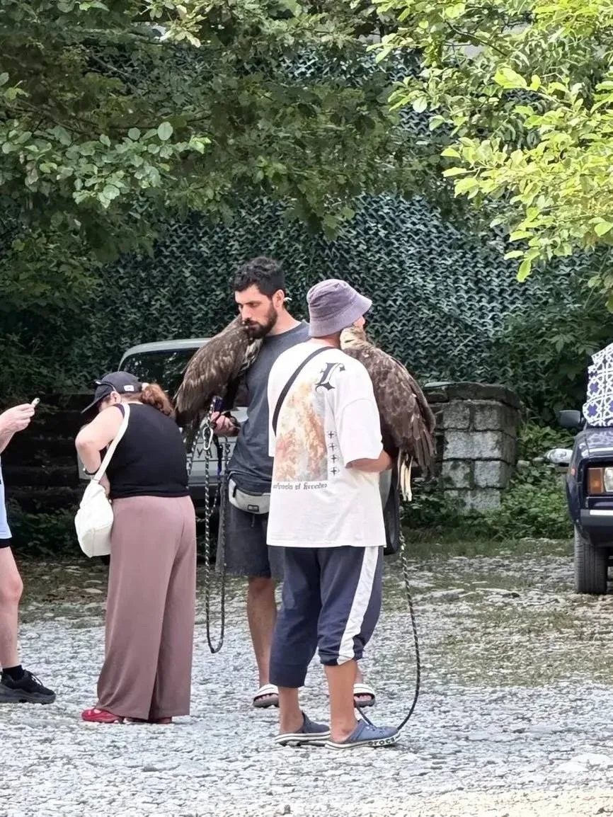 🦅В Сочи пресекли незаконную фотозону с хищными птицами