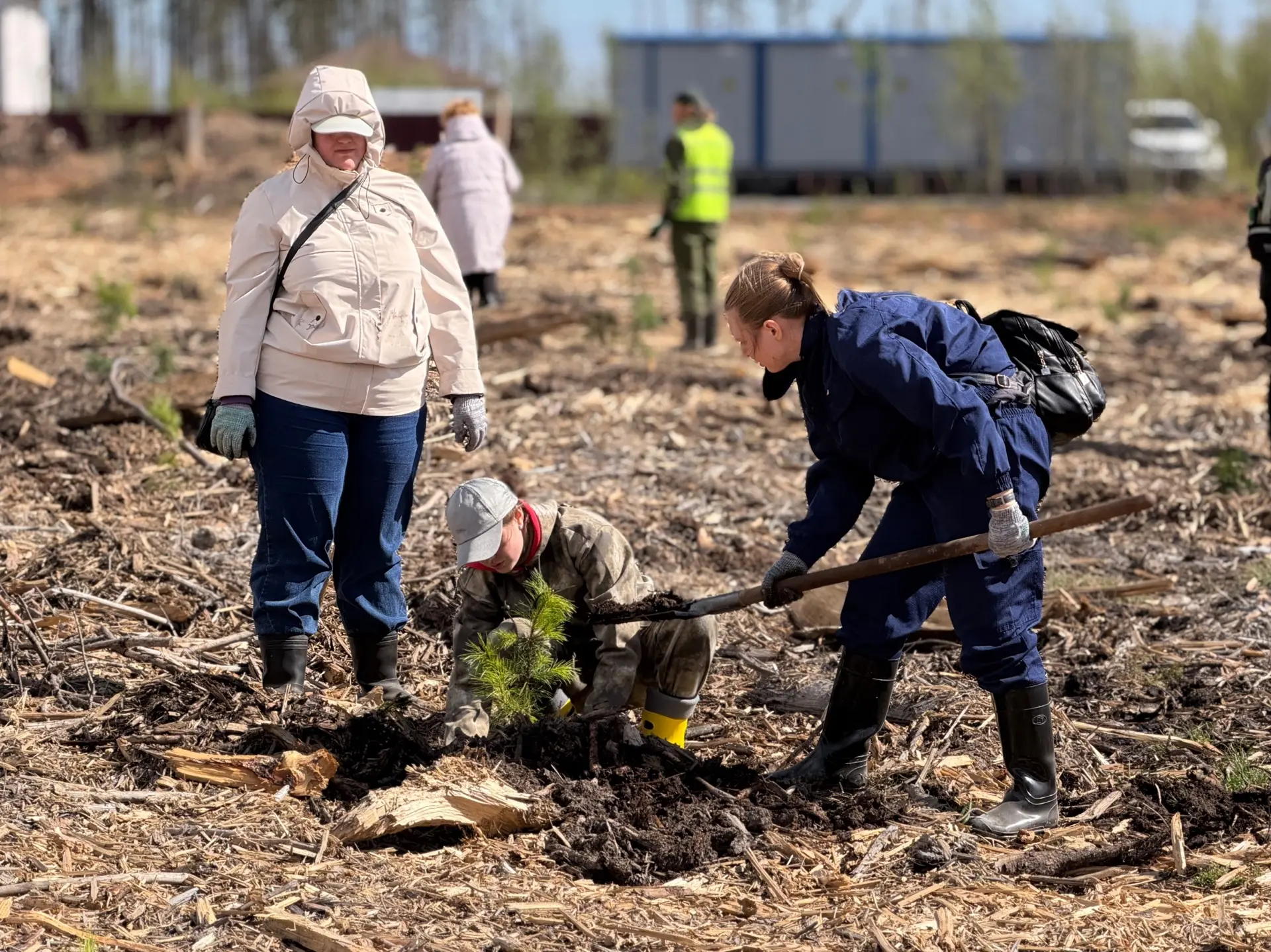 Это только начало большой работы!  🌲 Сегодня на территории Пуловского леса мы приступили к посадке с