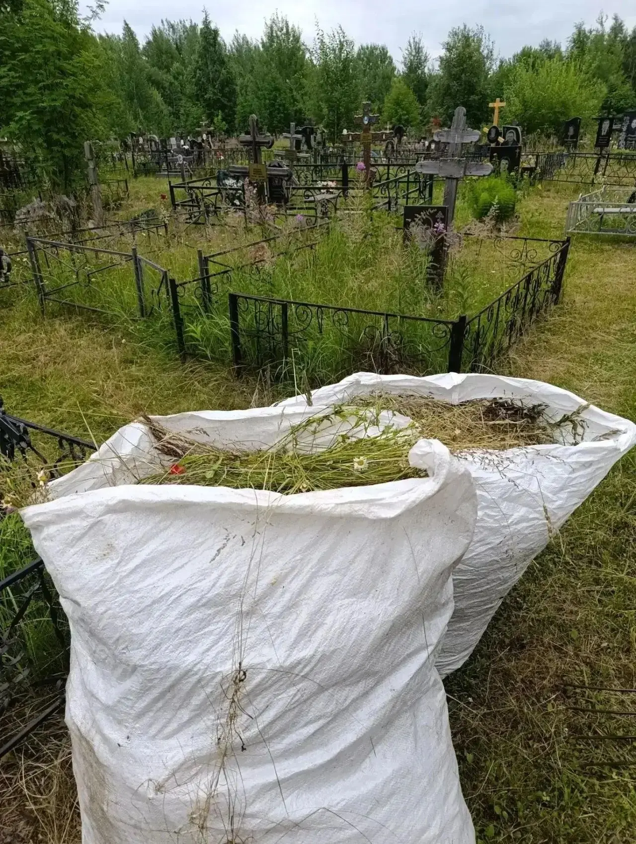 В рамках муниципального контракта на выполнение работ по организации ритуальных услуг и...