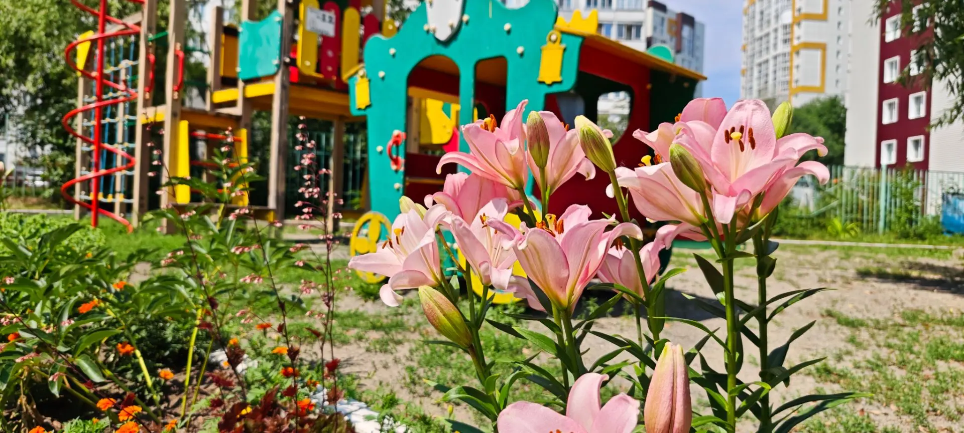 🌸 Летняя сказка на территории нашего детского сада! 🌼

Наш детский сад превратился в настоящий цве