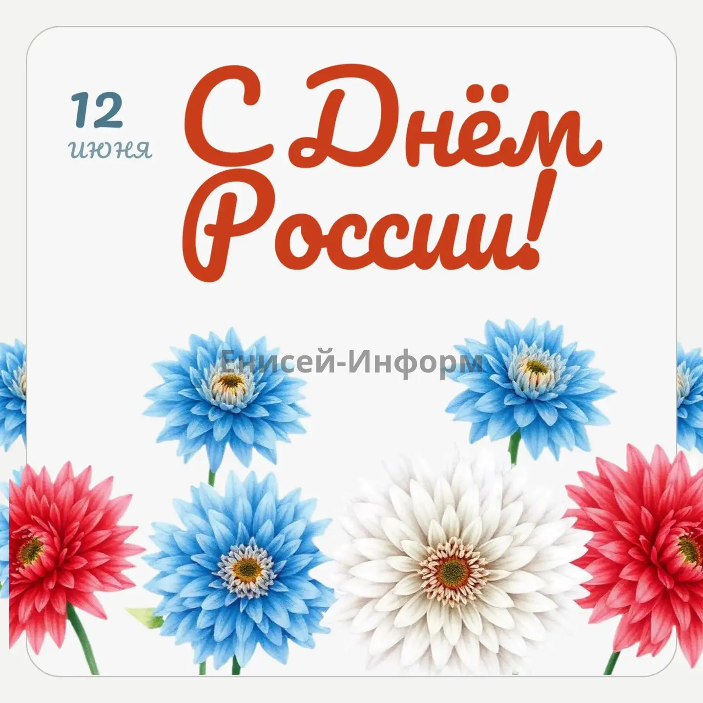 С Днём России, дорогие друзья!