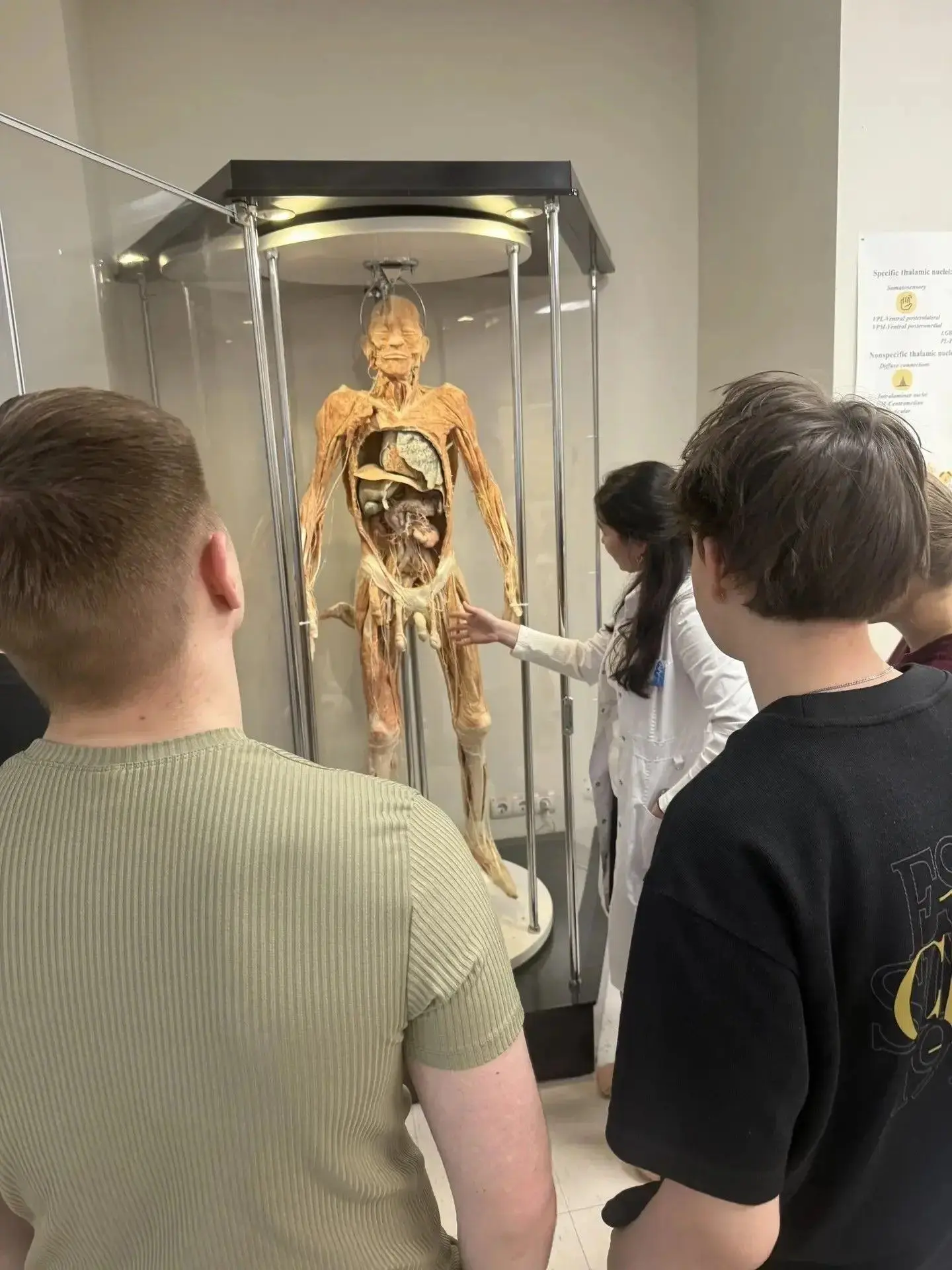 ▫️В ДВФУ была и вторая встреча с преподавателем и практикующим патологоанатомом. Школьники также поб