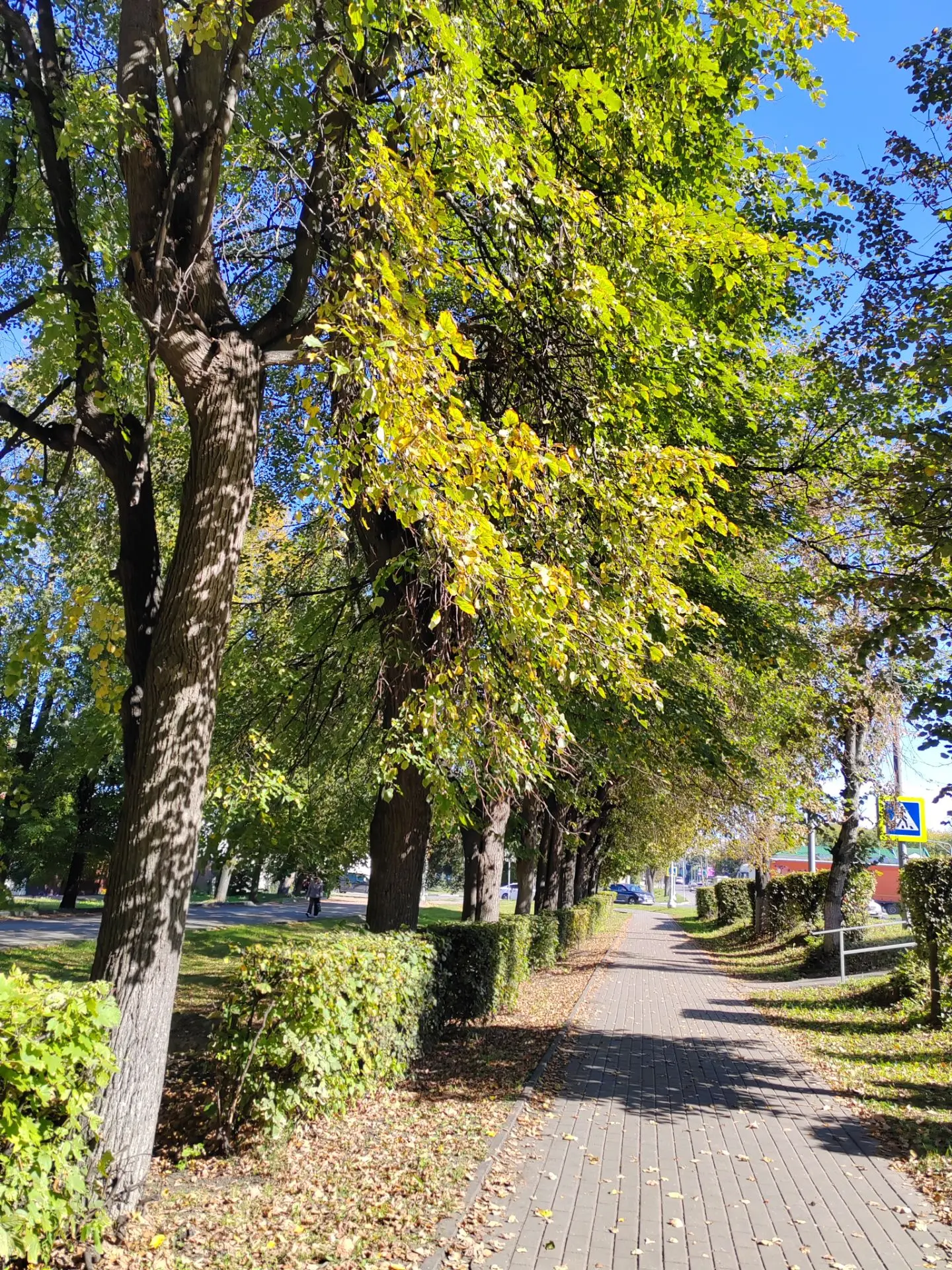 Осень🍁🍁🍁🍂🍂🍂🍂