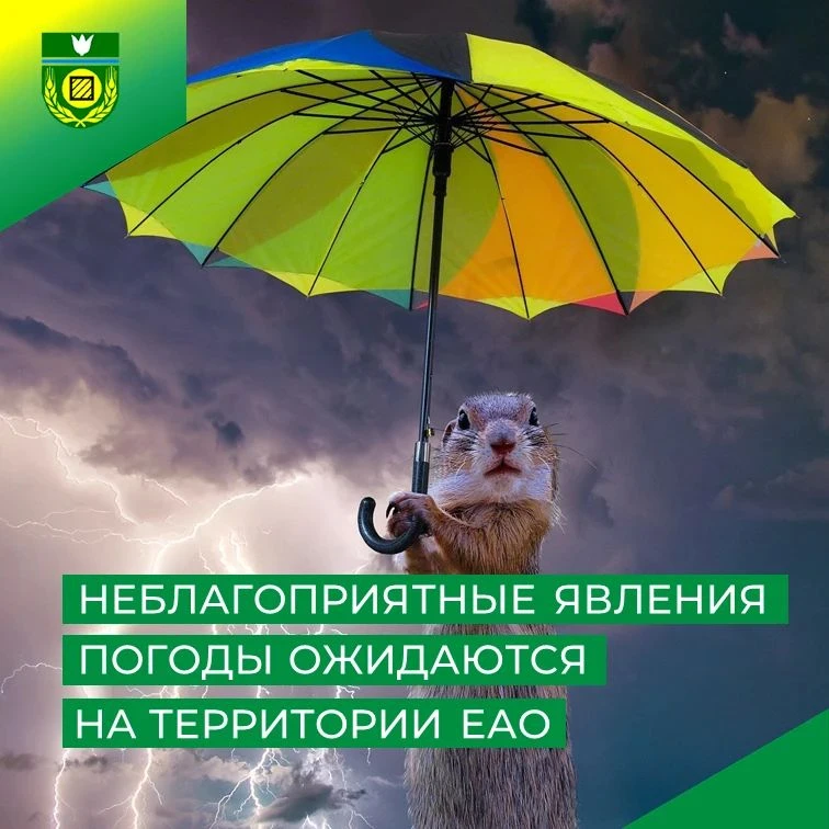 ВНИМАНИЕ ❗️❗️❗️