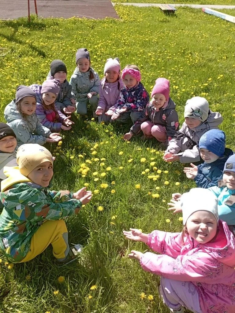 Маленький солнечный код, написанный на стебле 🌼                                       ...