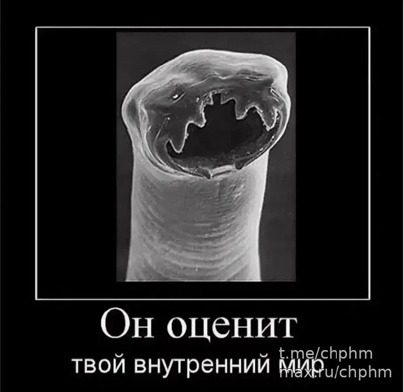 🚨 В ХМАО предупредили об опасной рыбе