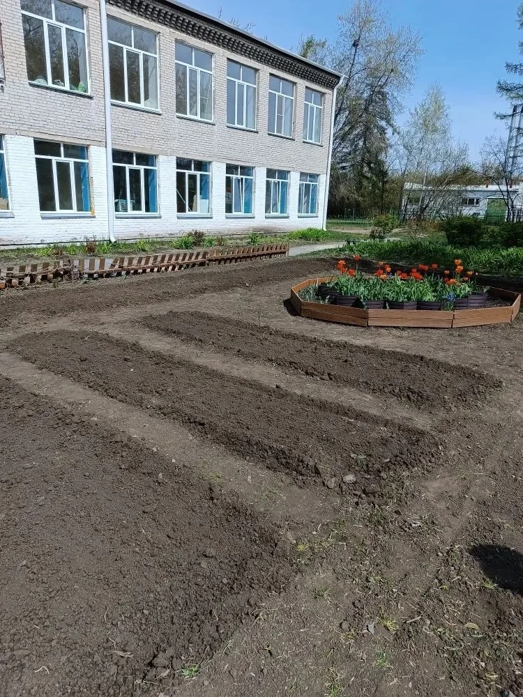 🌸 Наш цветник преображается на глазах, и это — целиком заслуга наших старшеклассников!  Дружной комп