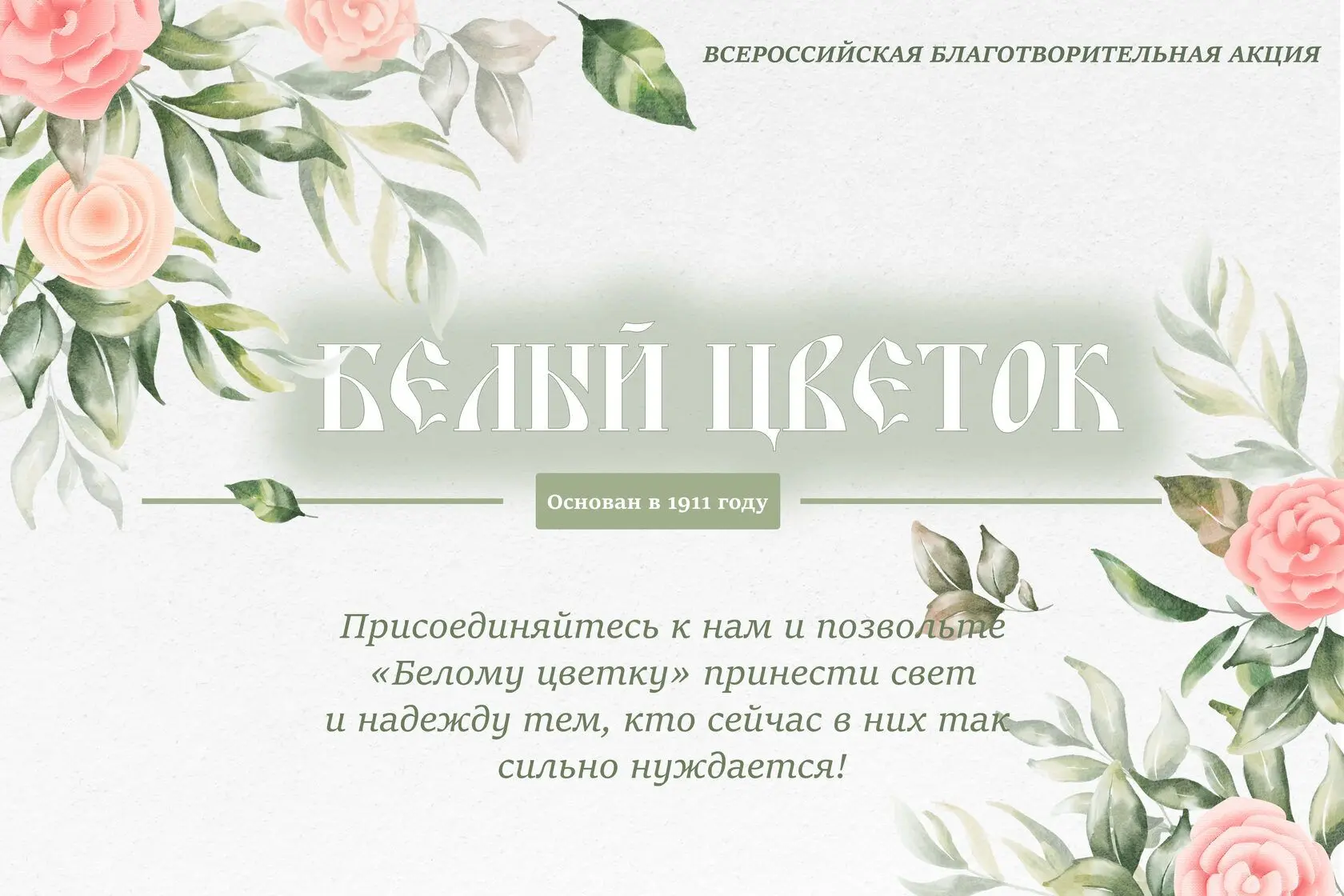 🎗️ В нашей школе стартует благотворительная акция «Белый цветок»!