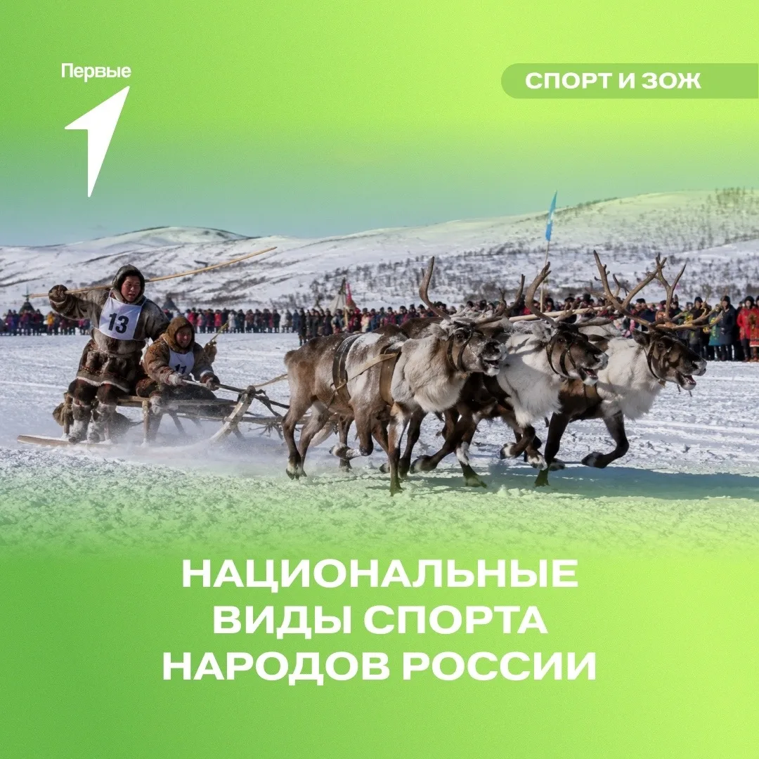 ⏳ Эти спортивные традиции формировались веками!

В быту, охоте и кочевой жизни народов. Сегодня они 