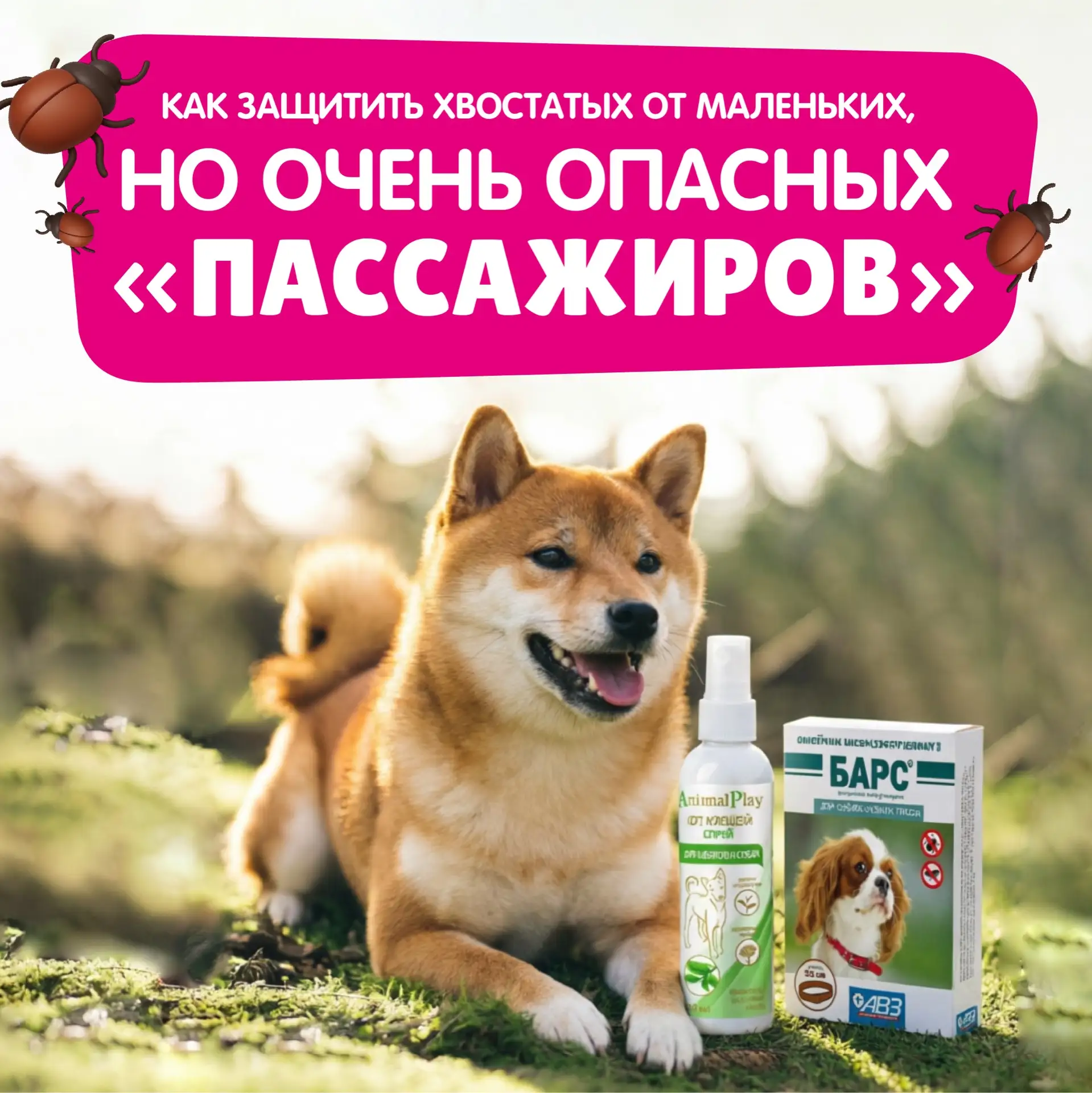 Как защитить хвостатых от маленьких, но очень опасных «пассажиров»? 🪲

Клещи и блохи – это не прост