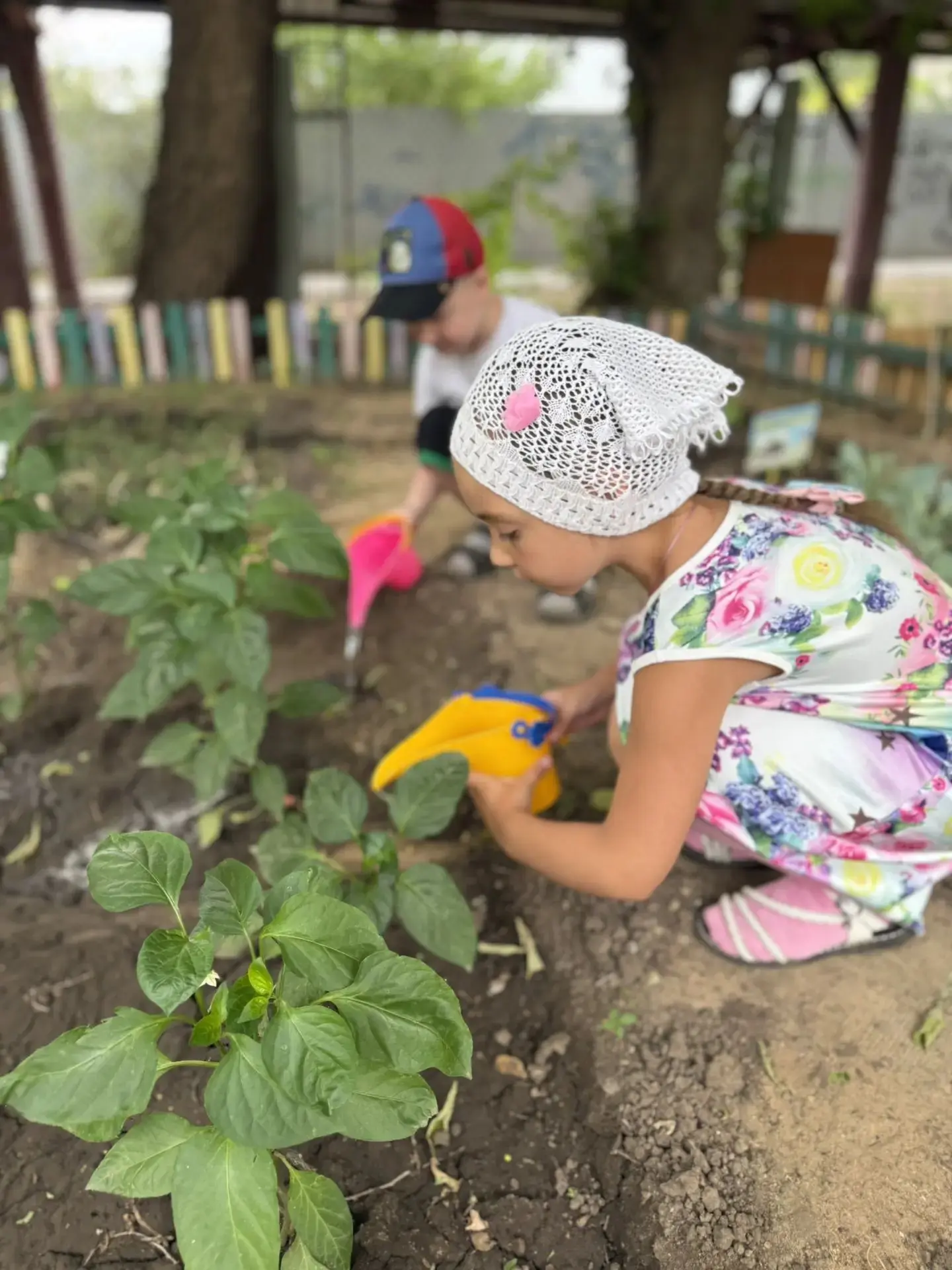 🍅🥒 В нашем детском саду есть свой уютный уголок, где растут помидоры, огурцы и зелень! И ухаживают