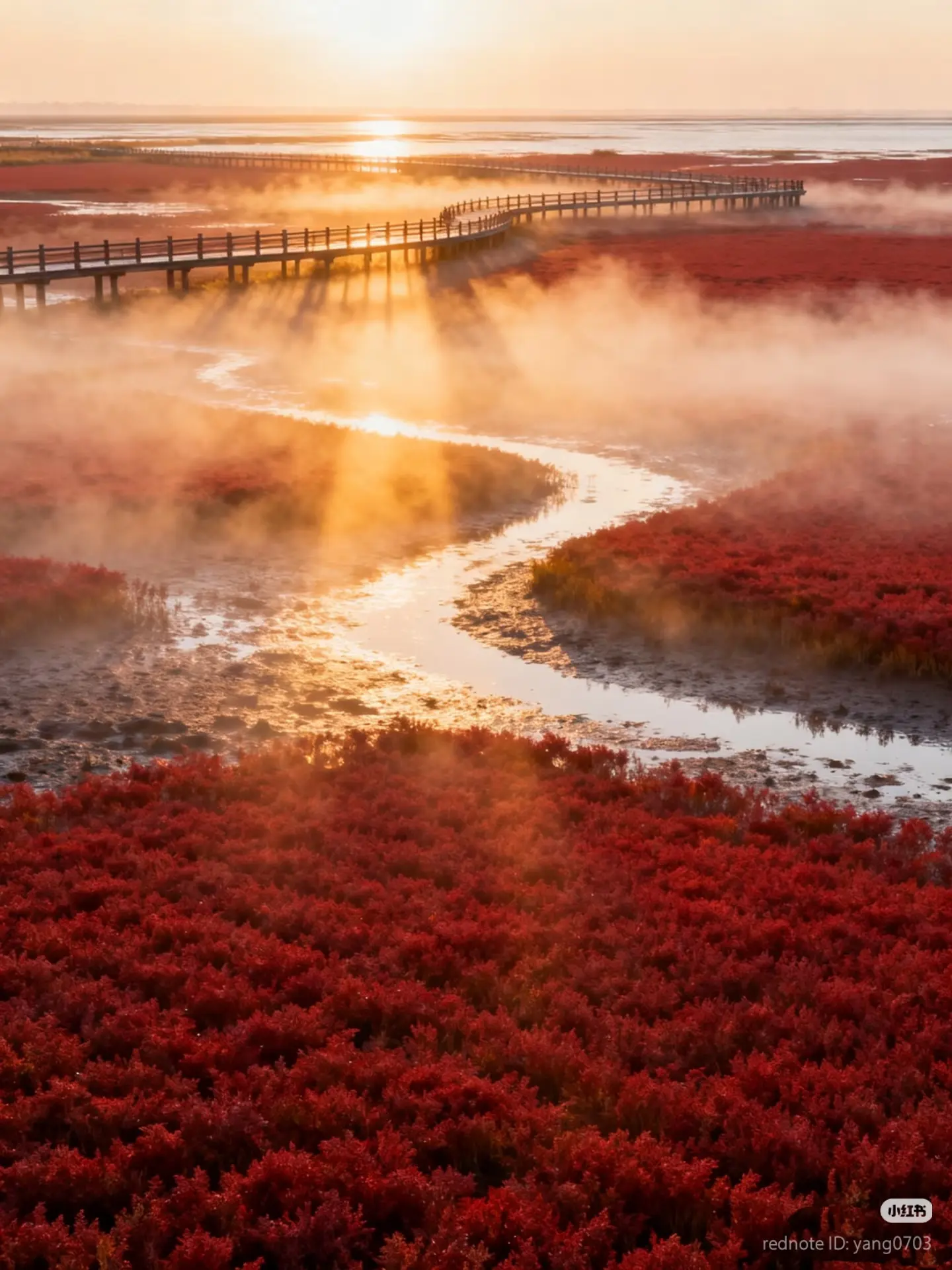 🌅 Красный пляж в Паньцзине 盘锦红海滩