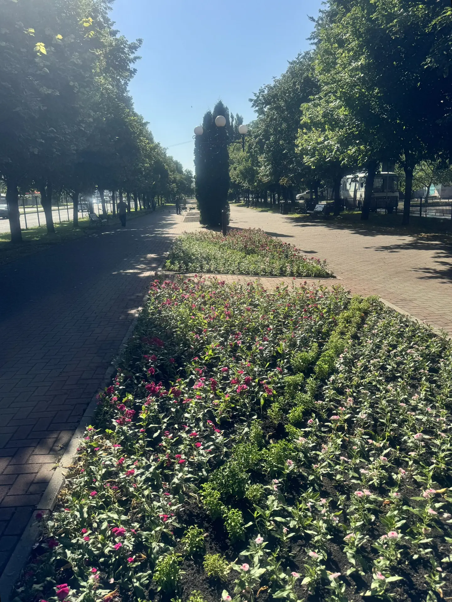 Доброе утро, Черкесск🕊️