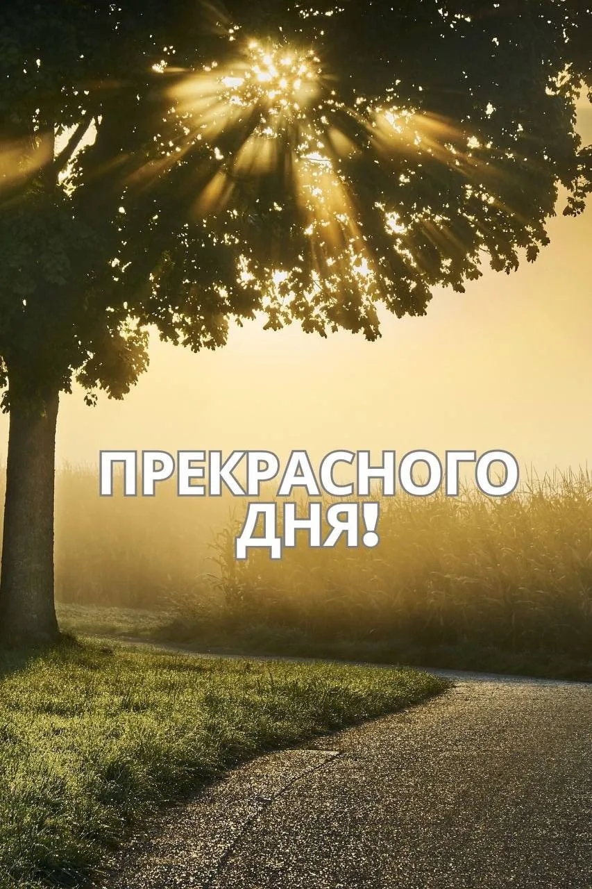 Открытки и приколы 🌸
Подписаться 👈
