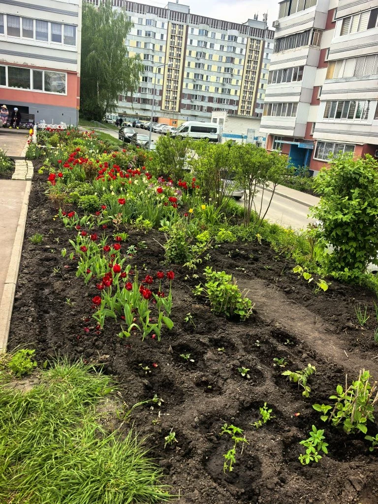 Вдохновляемся: у дома 43/06 расцвела новая клумба!🌷