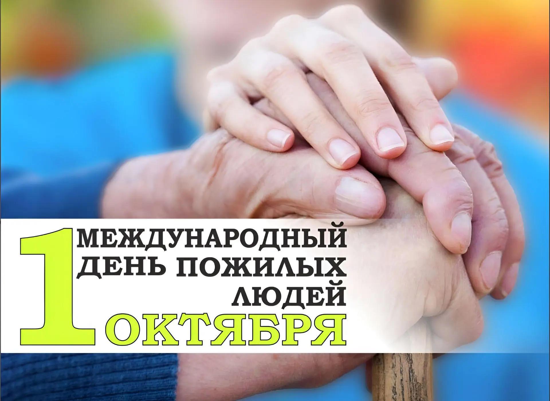 ✅ Глава Южно-Сухокумска Сеидахмед Мамадов поздравил жителей города с Днем пожилых людей