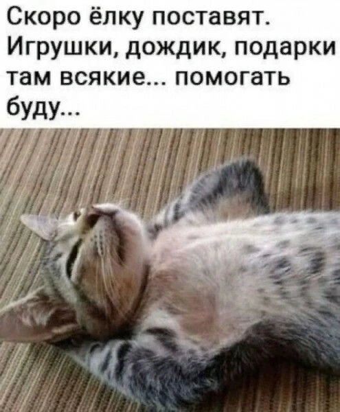 Изображение 1 к публикации «Юмор в картинках!»