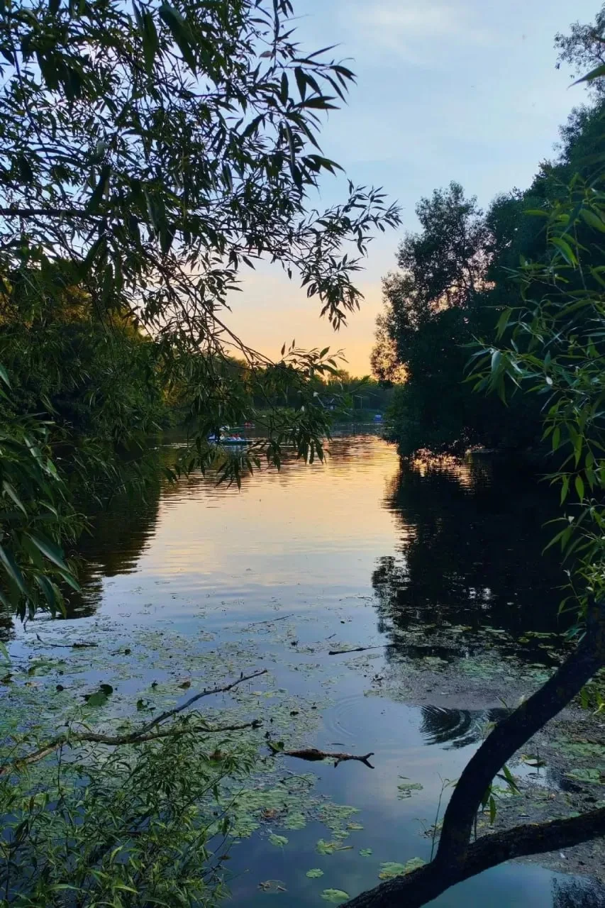 🌆 Тёплый летний вечер в парке Кузьминки в объективе жителей

Кадры передают уютную атмосферу уходящ