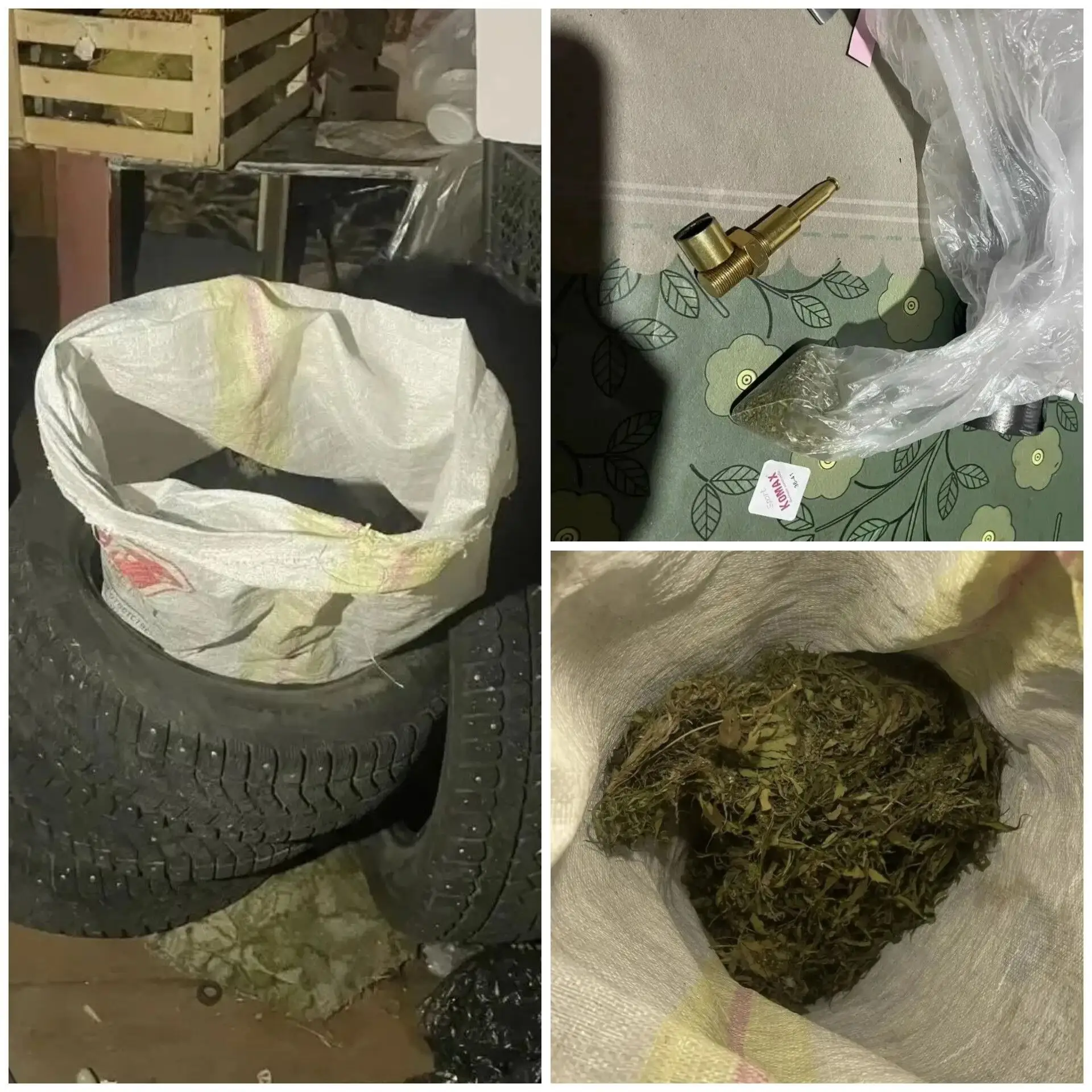 🌱 В Тогуре у сельчанина нашли 430 граммов марихуаны: возбуждено уголовное дело