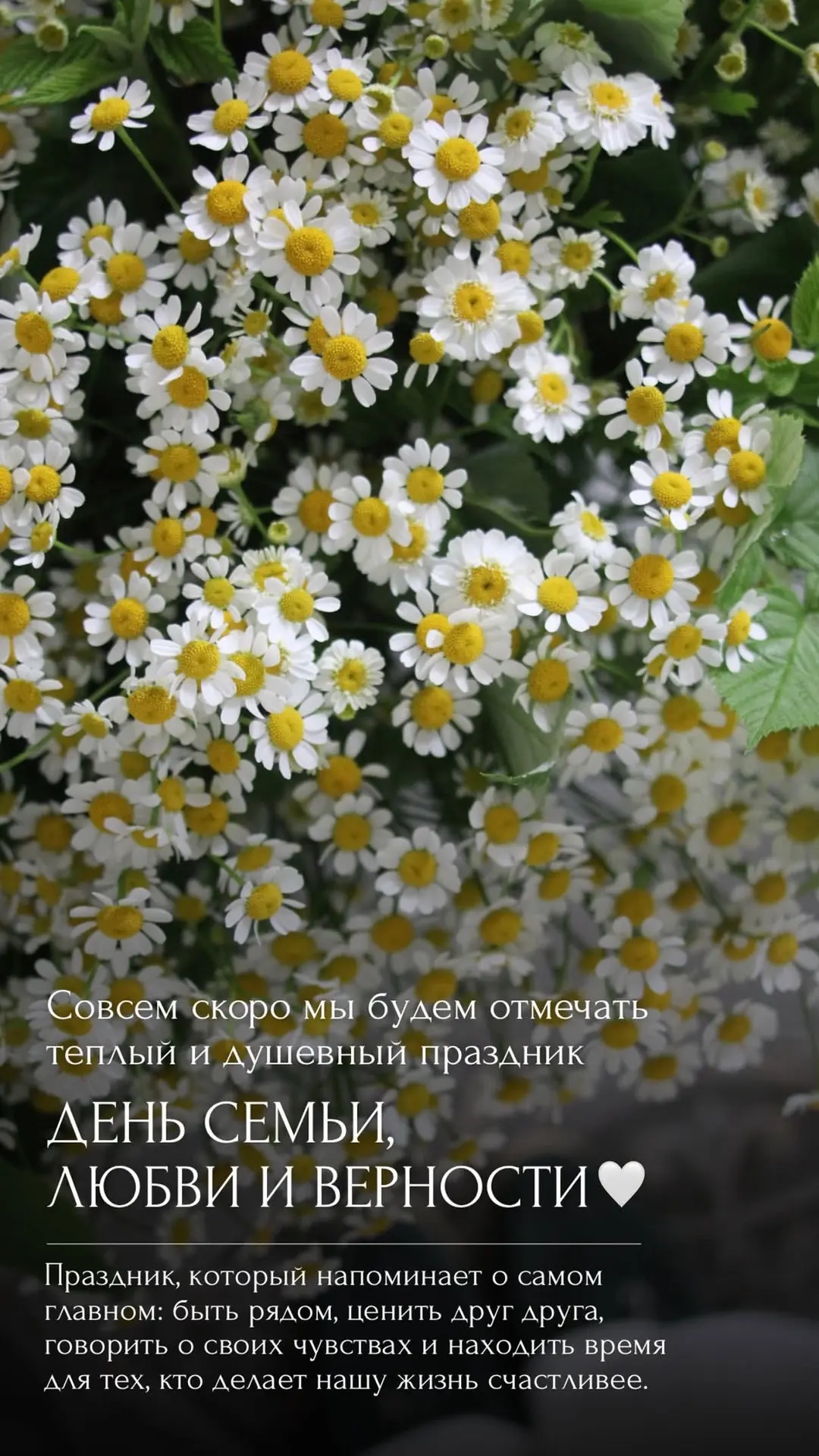 8 июля наш день всех влюбленных 🌿