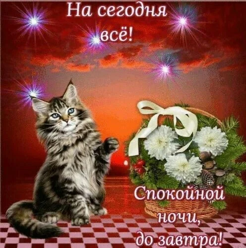 Список качественных каналов в МАХ | Подпишись!❤️