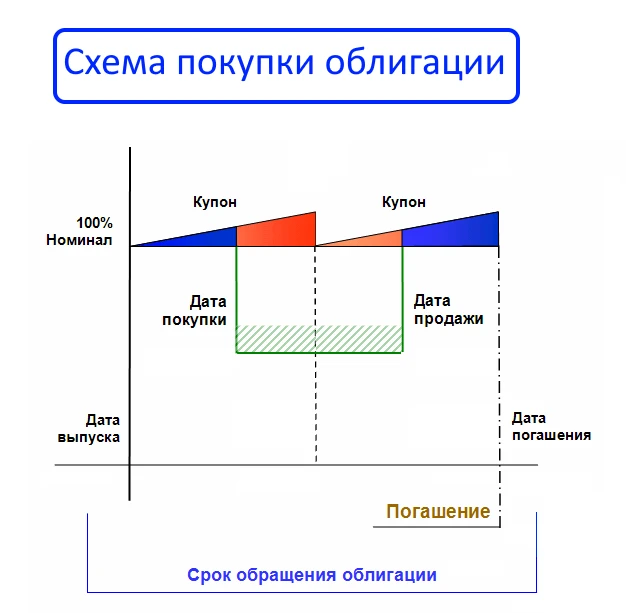 Когда выгоднее покупать облигации - в ЛЮБОЕ время, ДО или ПОСЛЕ выплаты купона❓  Недавно я начал доб