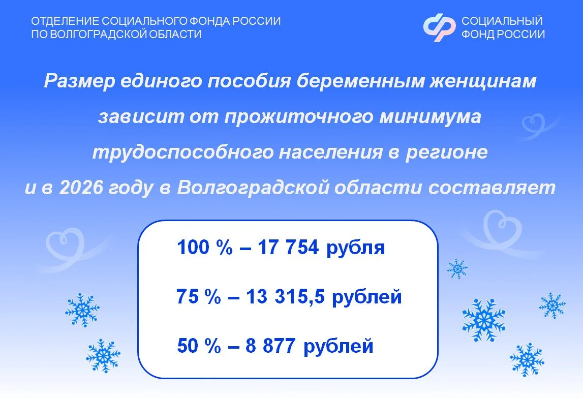 В 2025 году Отделение СФР по Волгоградской области назначило единое пособие родителям более 130 тыся