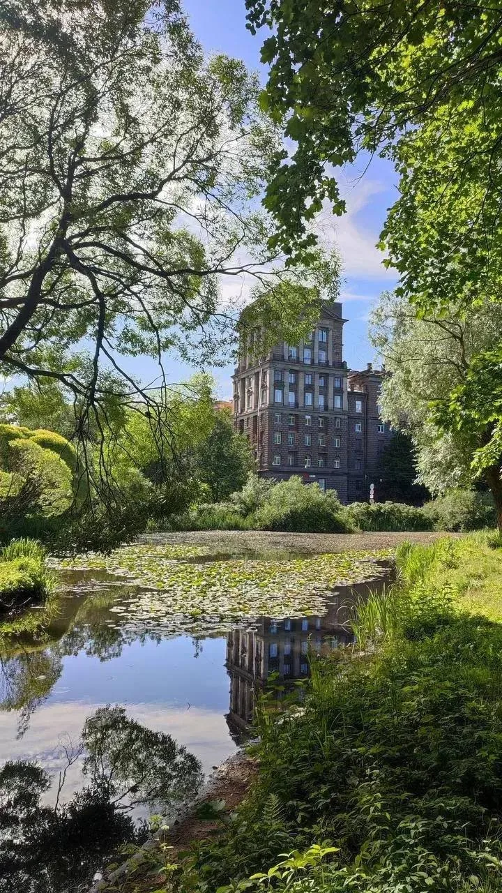 🌳 Парк Лесотехнической академии — зелёный оазис Петербурга