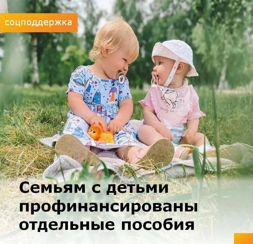 ‼️ 14 августа в муниципальные образования направлены средства для выплаты следующих соц...