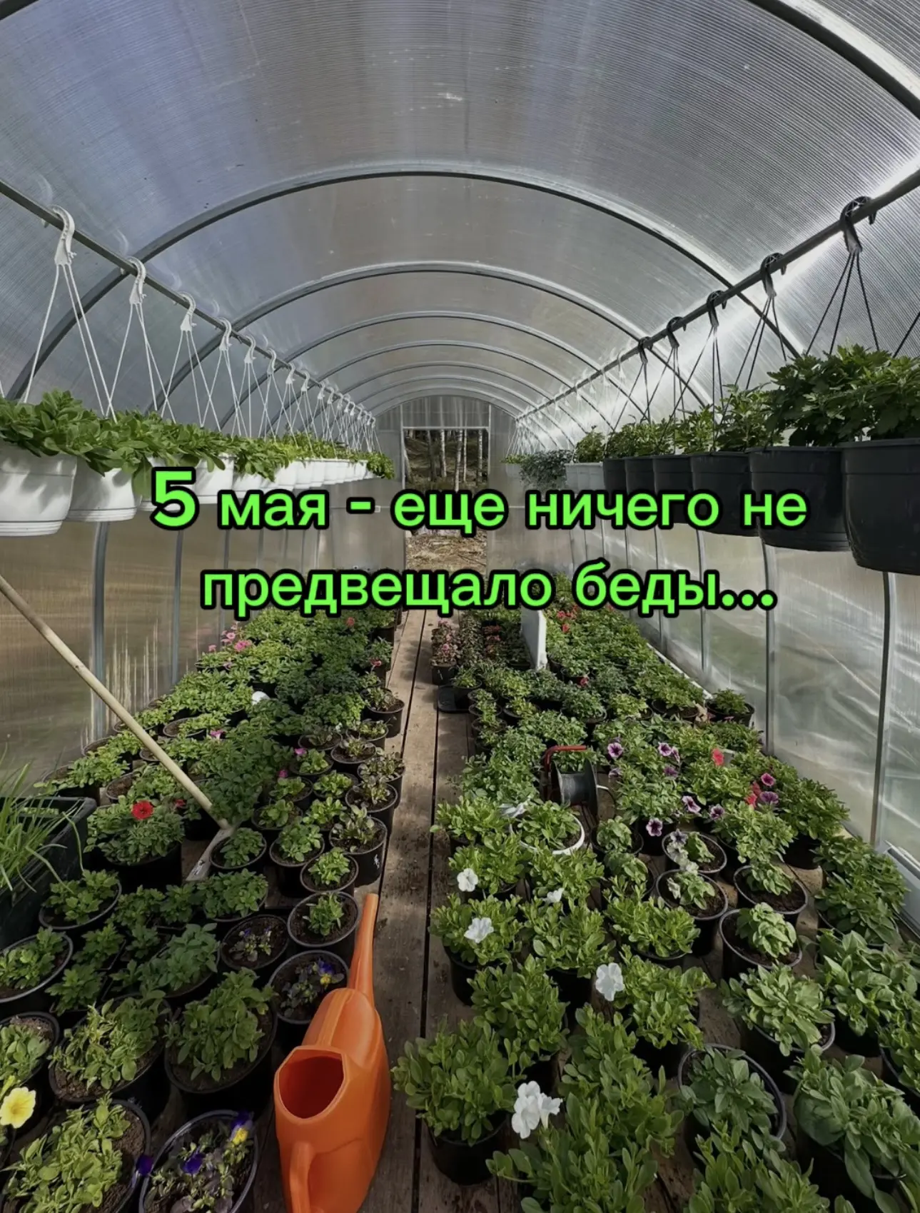 Последний из тестируемых мной грунтов меня сильно обманул, так как растения, долгое вре...
