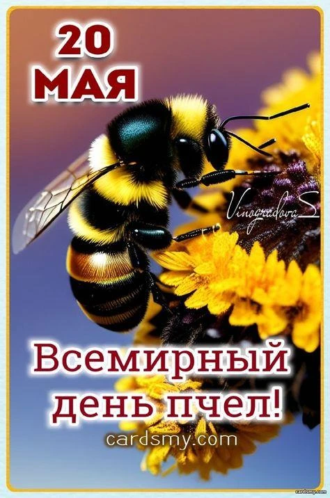 🐝🌍 С Днем Пчёл! Сегодня, 20 мая, весь мир отмечает Всемирный День Пчёл – наших маленьких, но невер