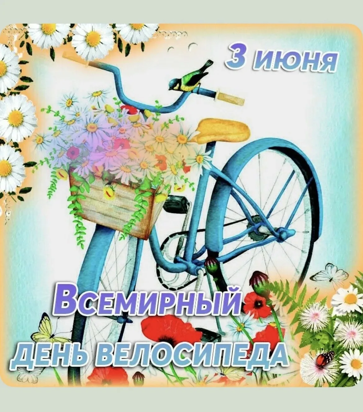 3 июня отмечается Всемирный День велосипеда. Вот краткая консультация для родителей на ...